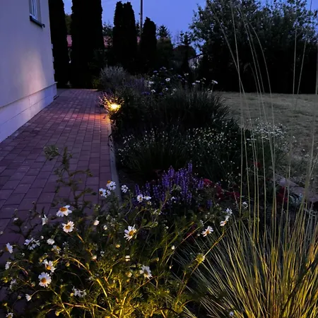 Sardyna Baltycka * Bobolin