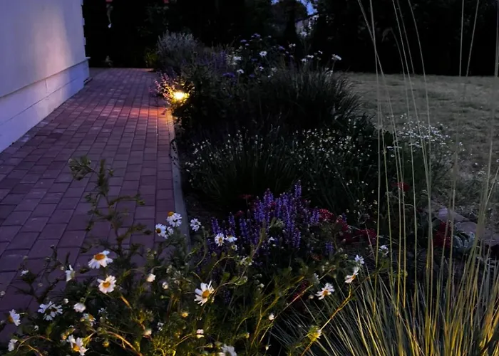 Sardyna Baltycka * Bobolin